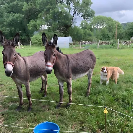 Дом отдыха La Ruche *