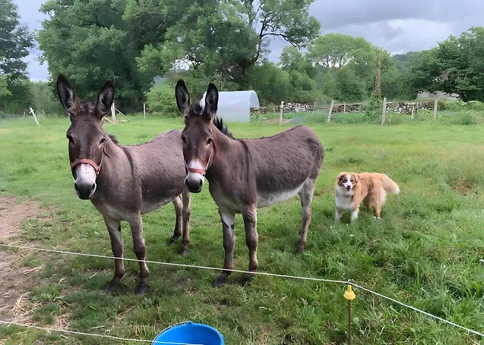 Дом отдыха La Ruche *